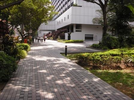 SDC11467.JPG